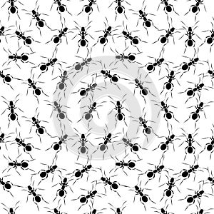 Seamless vector pattern with insects