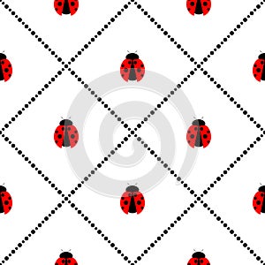 Seamless vector pattern with insects, symmetrical geometric background with bright little ladybugs, over white backdrop