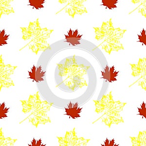 Seamless vector pattern of maple leaves. Autumn colors.