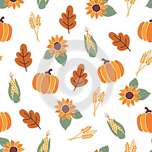 Seamless vector pattern with orange pumpkins, crop corn, maple leaves and bright sunflowers on white background. Autumn