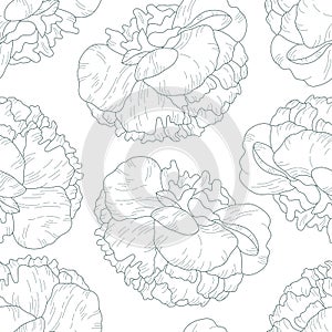 Seamless vector pattern with peonies