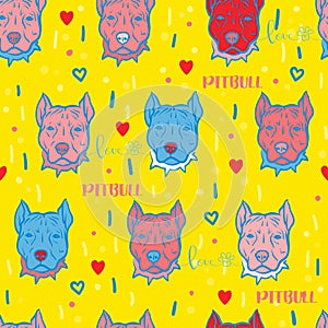 Seamless vector pattern with pit bull faces in pop art style