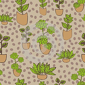 Seamless vector pattern with potted plants doodles on spotty background