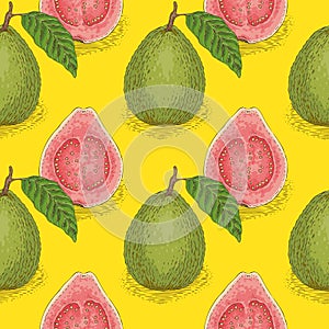 Seamless Vector Pattern. Ripe Guava with Leaf
