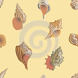 Seamless vector pattern Sea and river cockleshells of different types and forms.