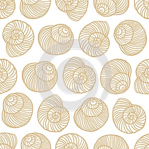 Seamless vector pattern of shells