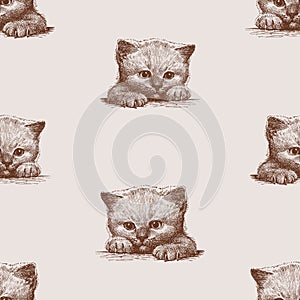 Seamless vector pattern of sketches head and legs small cute kitten, portrait baby animal cat, background for paper,wallpaper