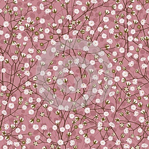Seamless vector pattern of white small flowers gypsophila on a pink background.