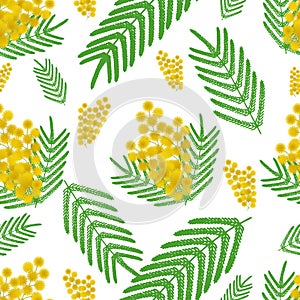 Seamless vector pattern of yellow mimosa and large leaves. Plants on an isolated background.