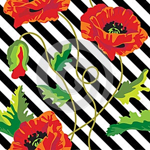 Seamless vector with poppy flowers on black and white stripes. Vintage floral background.
