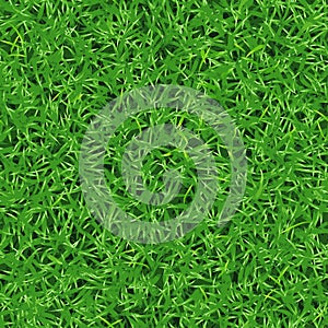 Seamless vector texture of fresh green grass on lawn