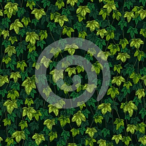 Seamless vector texture of ivy leaves on a green background