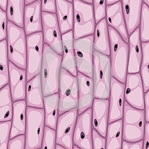 Seamless vector texture of organic cells with vacuoles and nuclei, pink