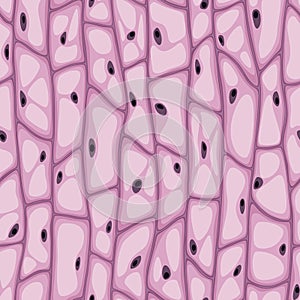 Seamless vector texture of organic cells with vacuoles and nuclei, pink photo