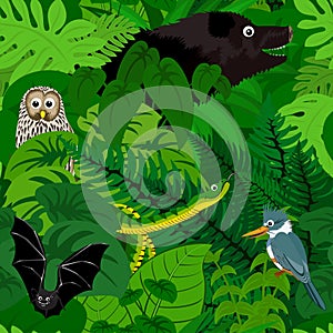 Seamless vector tropical rainforest Jungle background