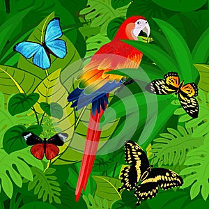 Seamless vector tropical rainforest Jungle background with parrot and butterflies