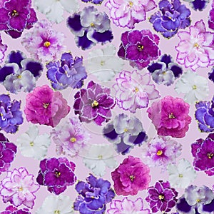 Seamless violets floral pattern