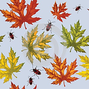 Seamless wallpaper with autumn maple leaves and red beetles, han