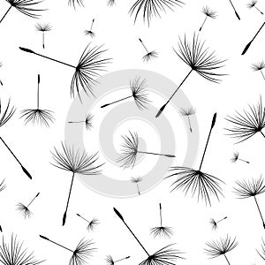 Seamless wallpaper black and white with dandelion fluff photo