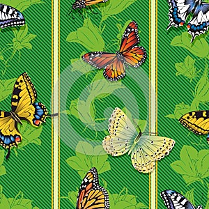 Seamless wallpaper with butterflies on a green background.
