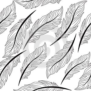 Seamless wallpaper feathers patern, texture, endless background, vector illustration