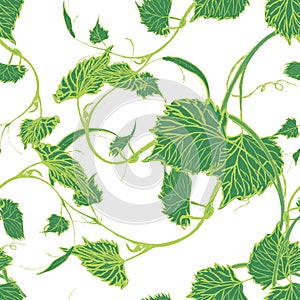 Seamless Wallpaper. Grapevine seamless pattern