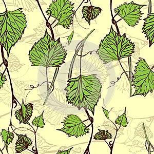 Seamless Wallpaper. Grapevine seamless pattern