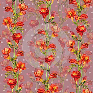 Seamless wallpaper with peas - floral polka design. Watercolor freesia flowers