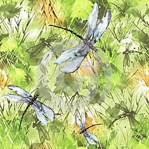 Seamless watercolor background with, flowers, paint splash. Watercolor card with a picture of dragonfly, flower branch, poppy, peo