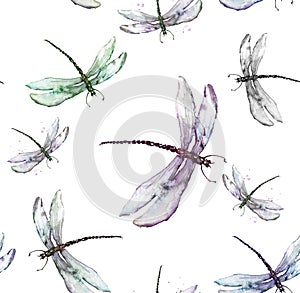 Seamless watercolor background, paint splash. Watercolor card with a picture of dragonfly. Trendy vintage background