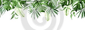 Seamless watercolor border, banner, frame with tropical leaves. green leaves of monstera, palm, fern isolated on white background.