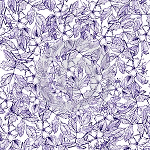 Seamless watercolor botanic pattern of handdraw ilustration