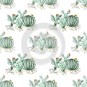 Seamless watercolor cactuses pattern on white