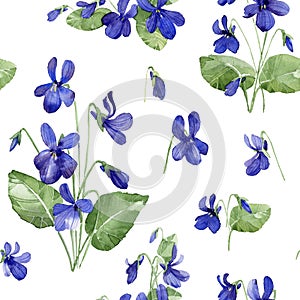 Seamless watercolor floral pattern. Violent flowers and leaves on white background.