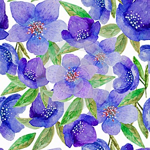 Seamless watercolor hand painted floral pattern with of blue hellebore flowers on white background. for wallpaper or