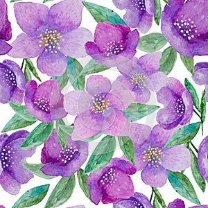 Seamless watercolor hand painted floral pattern with of purple hellebore flowers on white background. for wallpaper or