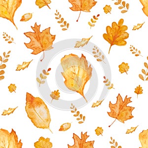 Seamless watercolor paint background of dry leaves. Autumn seasonal background