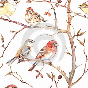 Seamless watercolor pattern with birds gracefully perched on branches