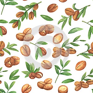 Seamless watercolor pattern with brown argan tree nut and leaves on white.