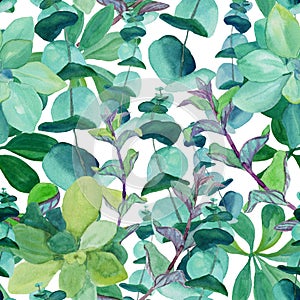 Seamless watercolor pattern of mint and eucalyptus