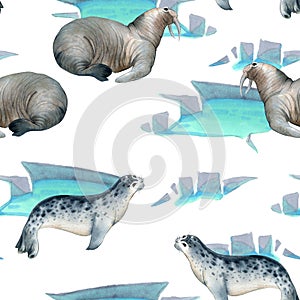 Seamless watercolor pattern about north fauna. Ice and sea animal.