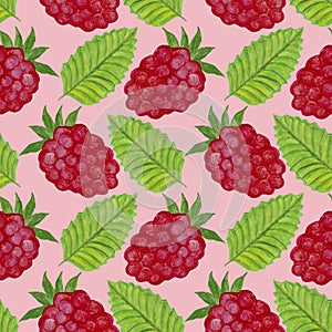 Seamless watercolor pattern with red berries .