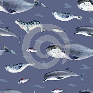 Seamless watercolor pattern about sea fauna. marine animal. Dolphin, whale, fish and seal on blue background