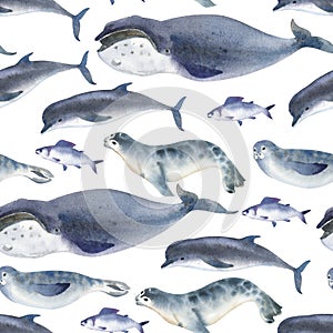 Seamless watercolor pattern about sea fauna. marine animal. Dolphin, whale, fish and seal on white background