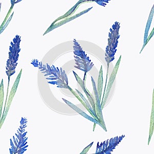 Seamless watercolor pattern of sprigs of flowering lavender.
