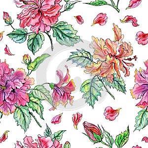 Seamless watercolor pattern of terry hibiscus petals on a wnite background.