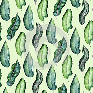 Seamless watercolor pattern of tropical leaves, aloha jungle decoration. Hand painted palm leaf. Texture with tropic