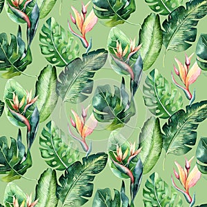 Seamless watercolor pattern of tropical leaves, aloha jungle decoration. Hand painted palm leaf. Texture with tropic