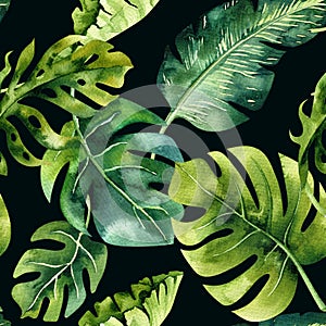 Seamless watercolor pattern of tropical leaves, dense jungle. Ha