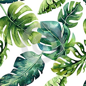 Seamless watercolor pattern of tropical leaves, dense jungle. Ha